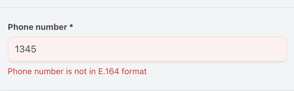 ProjectFormError